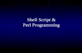 Shell Script & Perl Programming