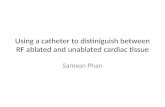 Using a catheter to  distiniguish  between RF ablated and  unablated  cardiac tissue