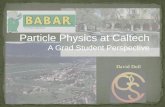 Particle Physics at Caltech A Grad Student Perspective
