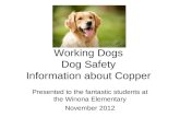 Working Dogs Dog Safety Information about Copper