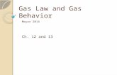Gas Law and Gas Behavior