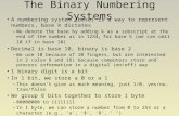 The Binary Numbering Systems