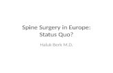 Spine Surgery in Europe: Status Quo?
