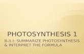 B-3.1:  Summarize photosynthesis & interpret the formula