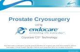 Prostate Cryosurgery