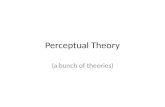 Perceptual Theory