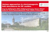 Various approaches to electromagnetic field simulations for RF cavities