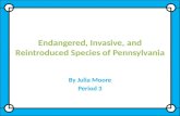 Endangered, Invasive, and Reintroduced Species of Pennsylvania