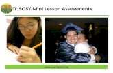 SOSOSY Mini Lesson Assessments