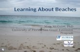 Learning About Beaches
