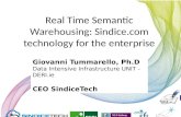 Real Time Semantic Warehousing: Sindice technology for the enterprise