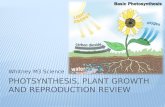 Photsynthesis , plant growth and reproduction review