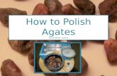 How to Polish Agates (and other rocks)