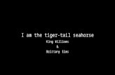 I am the tiger-tail seahorse