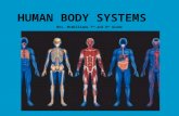 HUMAN BODY SYSTEMS Mrs. McWilliams 7 th  and 8 th  Grade