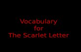 Vocabulary f or The Scarlet Letter