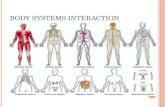 Body Systems Interaction