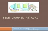 Side Channel Attacks