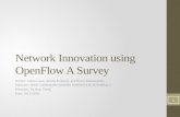 Network Innovation using  OpenFlow  A Survey
