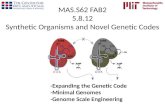 MAS.S62 FAB2 5.8.12 Synthetic Organisms and Novel Genetic Codes