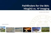 Pathfinders for the SKA: Nlog (N) vs. N 2  Imaging