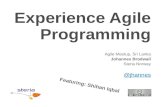 Experience  Agile  Programming