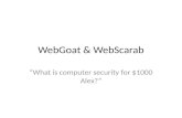 WebGoat  &  WebScarab