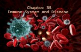Chapter 35  Immune System and Disease
