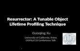 Resurrector : A  Tunable  Object Lifetime Profiling Technique