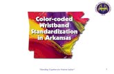 Color-coded Wristband Standardization in Arkansas  Executive Summary – 2008