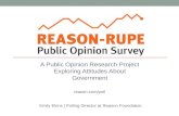 A Public Opinion Research Project Exploring Attitudes About Government