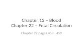 Chapter 13 – Blood Chapter 22 –  Fetal  Circulation
