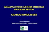 Wallowa Stock Summer Steelhead Program Review Grande  Ronde  River