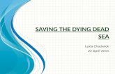 Saving the Dying Dead Sea