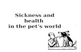 Sickness and health  in the pet’s world
