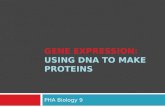 Gene Expression: Using DNA to make proteins