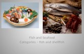 Fish and Seafood Categories – fish and shellfish