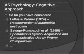 AS Psychology: Cognitive Approach