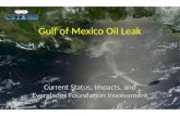 Gulf of Mexico Oil Leak