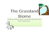 The  G rassland Biome