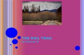 The rail trail