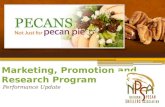 Marketing, Promotion and Research  Program