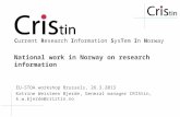 National work in Norway on research information