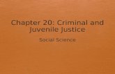 Chapter 20: Criminal and Juvenile Justice
