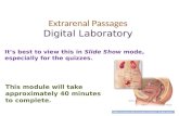 Extrarenal  Passages Digital Laboratory