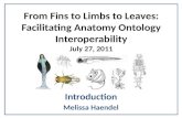 From Fins to Limbs to Leaves: Facilitating Anatomy Ontology Interoperability July 27, 2011