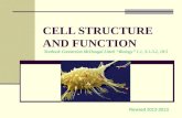 CELL STRUCTURE AND FUNCTION Textbook Connection McDougal  Littell  “Biology” 1.1, 3.1-3.2, 18.5