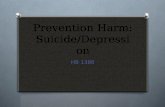 Prevention Harm: Suicide/Depression