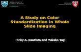A Study on Color Standardization in Whole Slide Imaging