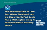 Lewis River Hatchery and Supplementation Subgroup